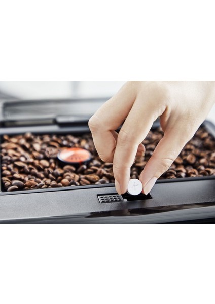 Matara Şişe Temizleme Tableti fiyatları