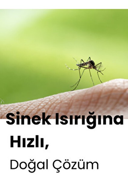 Sivilce, Siyah Nokta, Akne, Sinek Isırması, Cilt Problemi Onarıcı, Çay Ağacı Yağı Cilt Serumu 10 ml fiyatları