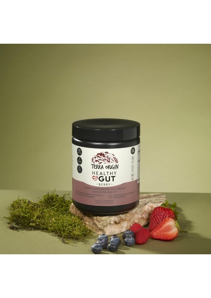 Healthy Gut Berry Pepzingı® Zinc Carnosine Copper L-Glutamine L-Alanyl-L-Glutamine N-Acetyl-D-Glucosamine Slippery Elm Bark Msm (Dgl) Licorice Stevia Quercetin Carnosine Aloe Vera modelleri