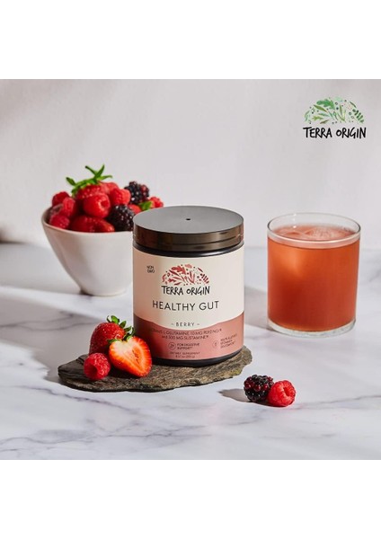 Healthy Gut Berry Pepzingı® Zinc Carnosine Copper L-Glutamine L-Alanyl-L-Glutamine N-Acetyl-D-Glucosamine Slippery Elm Bark Msm (Dgl) Licorice Stevia Quercetin Carnosine Aloe Vera indirimleri
