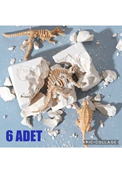 6lı Fosil Dinozor Jurassic Kazı Proje Eğitici Etkinlik Hediye Seti Stem Uyumlu fiyatları