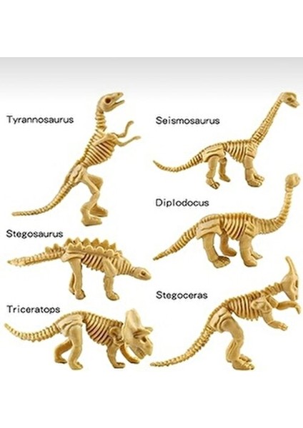 6lı Fosil Dinozor Jurassic Kazı Proje Eğitici Etkinlik Hediye Seti Stem Uyumlu modelleri