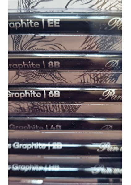 6'lı Odunsuz Kömür Kalemi Wood Free Graphite Sketch / Swm-6h Ağaçsız Eskiz Grafit Kalemi
