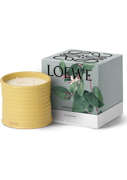 Honeysuckle Medium 610 gr Mum fiyatları