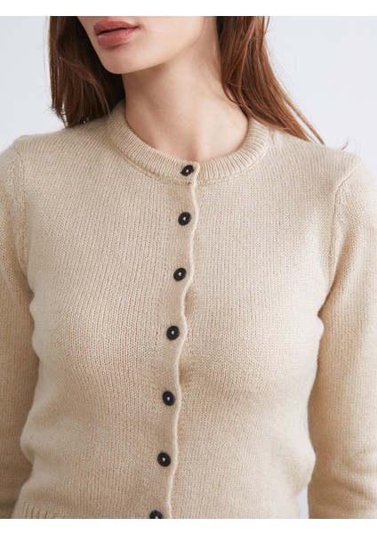 Yeni Sezon Bisiklet Yaka Kadın Triko Hırka modelleri