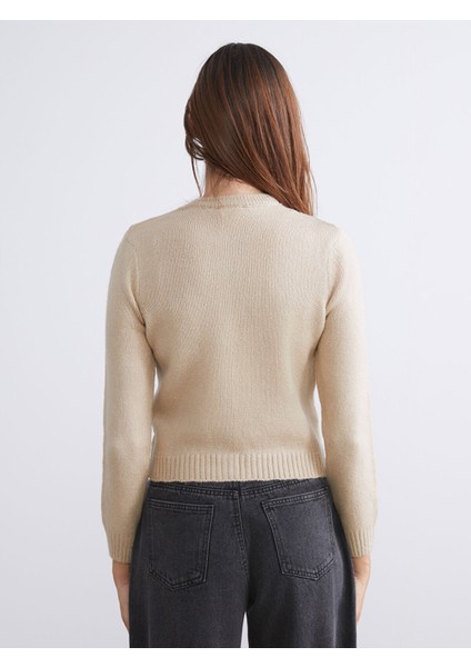 Yeni Sezon Bisiklet Yaka Kadın Triko Hırka fırsatları