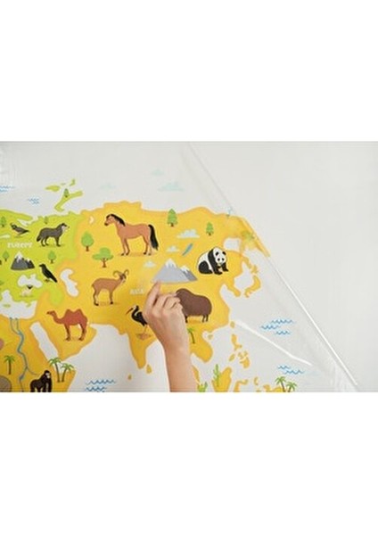 Şeffaf Hayvanlı Dünya Haritası 65 X 98 cm Kalem Hediyeli Renkli Eğlenceli Tasarım fırsatları