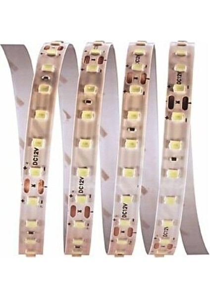 CT-4540 120 Ledli 5 Metre Iç Mekan Şerit LED Amber 2200 K ( 1500 Lm )