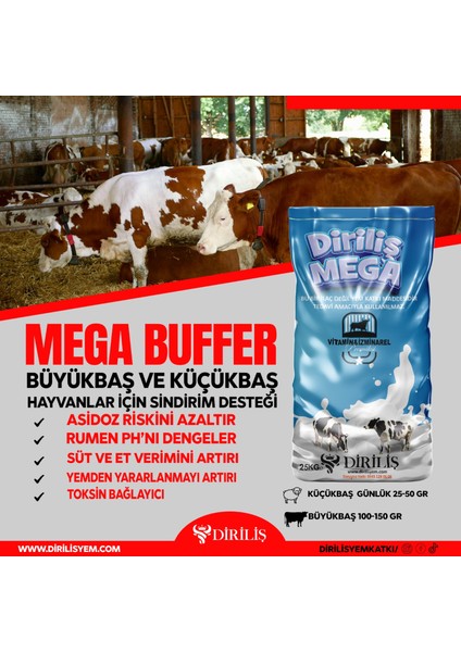 Megabuffer 25 kg Tampon