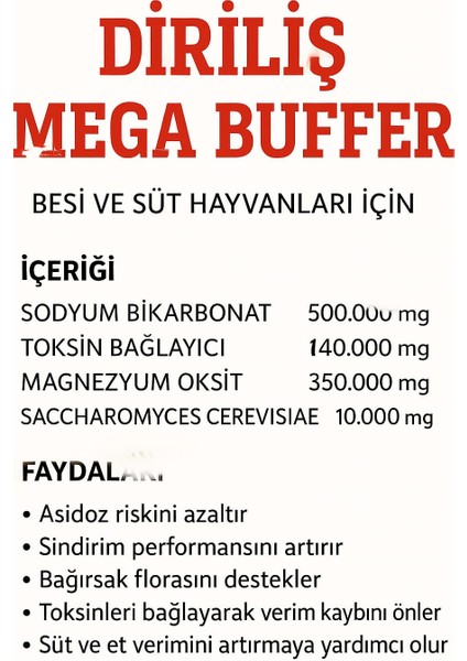 Megabuffer 25 kg Tampon fiyatları