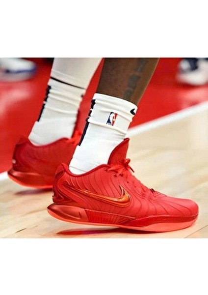 Lebron Xxı Erkek Basketbol Ayakkabısı..