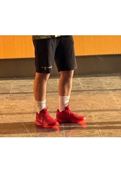 Lebron Xxı Erkek Basketbol Ayakkabısı.. fiyatları