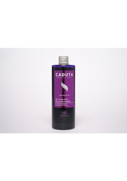 Turunculaşma Karşıtı Sarı Saçlar Için Silver Şampuan