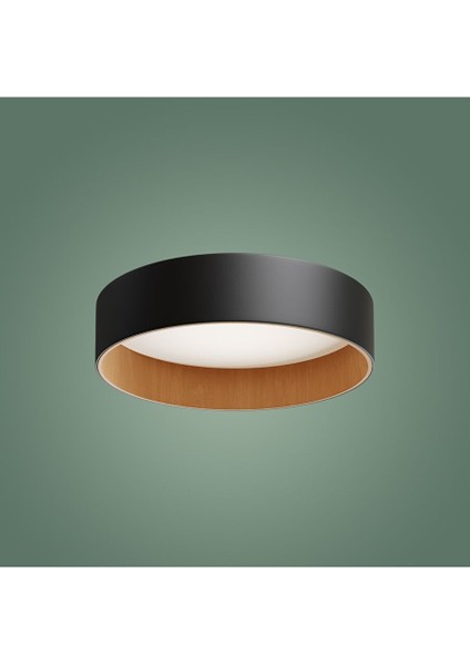 Roof Plafonyer Düz 45