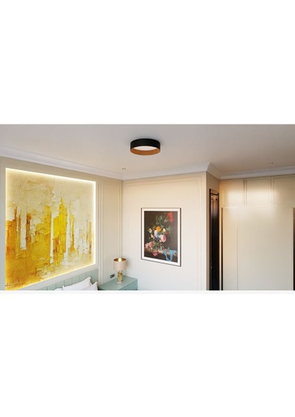 Roof Plafonyer Düz 45 fırsatları
