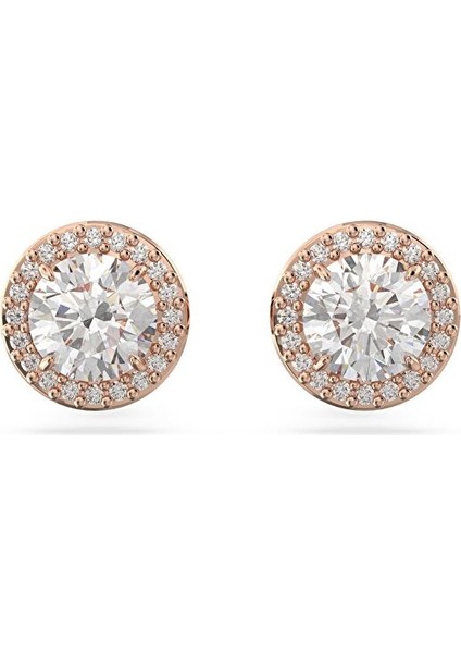 5636275 Swarovski Küpe Constella:pe Stud Pave Whıte/ros