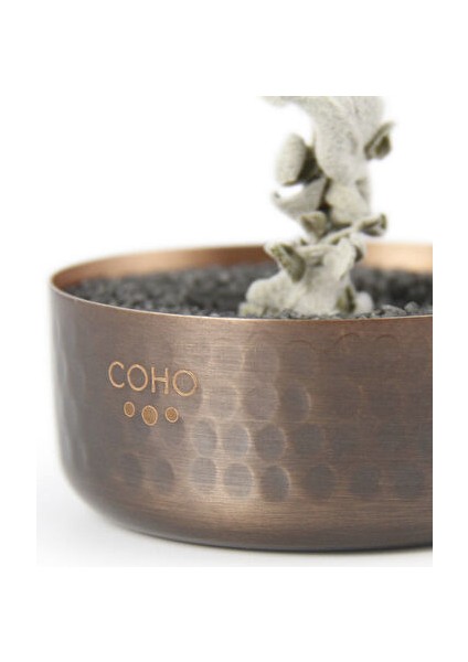 Coho Antique Meditation Dövme Bakır Kumlu Tütsülük fiyatları