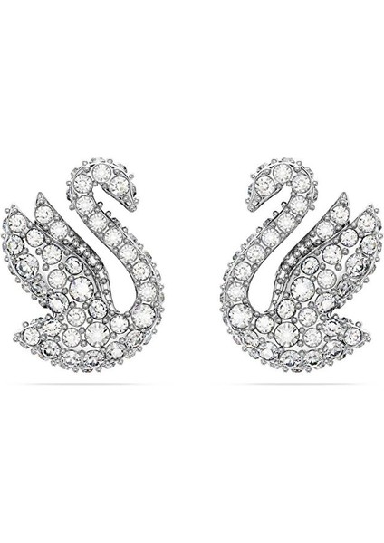 5647873 Swarovski Küpe Iconic Swan:pe Xxs Cry/rhs