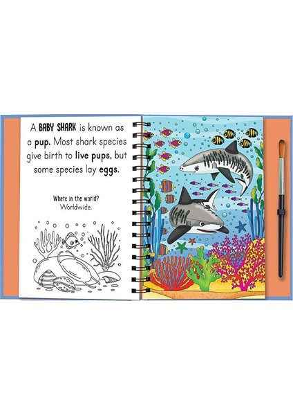 Magic Water Colouring - Baby Animals fiyatları