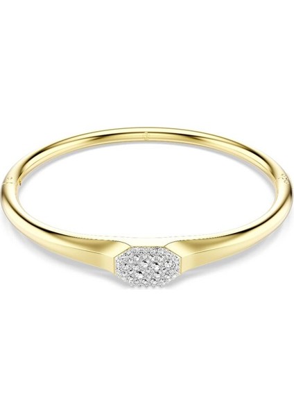 5724597 Swarovski Bilezik Dextera:bangle Tag Cre/gos