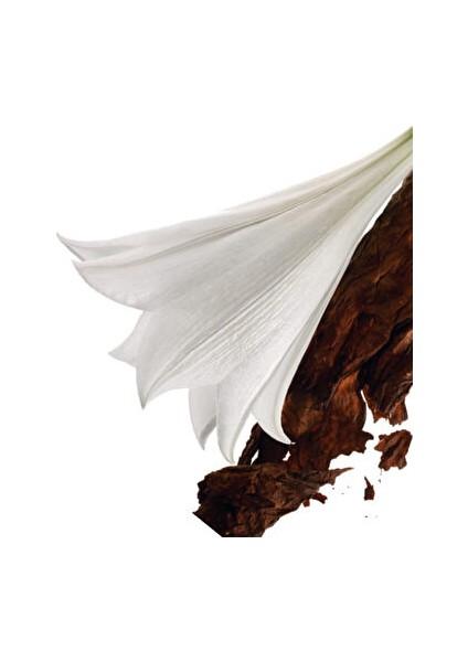 Mon Paris Edp 50 ml Kadın Parfüm modelleri