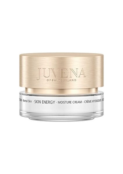 Skin Energy Moisture Cream