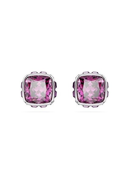 5660797 Swarovski Küpe Birthstone:pe Studs Feb Pur/rhs