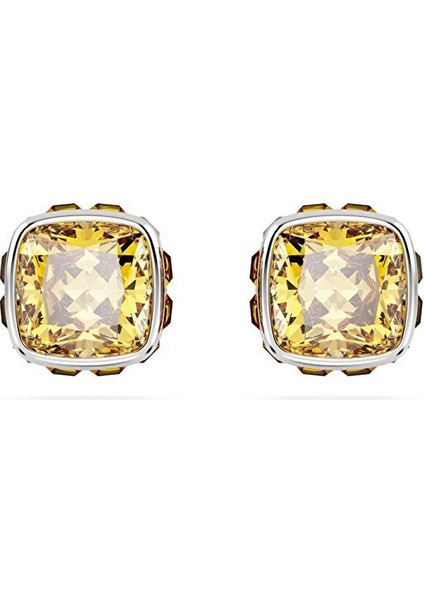 5660802 Swarovski Küpe Birthstone:pe Studs Nov Yel/rhs