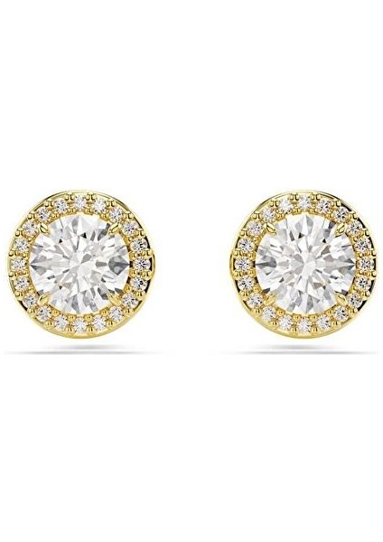 5686637 Swarovski Küpe Una:pe Stud Pave Whıte/gos