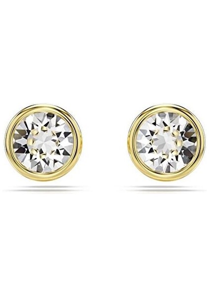 5681552 Swarovski Küpe Imber:pe Stud Cry/gos