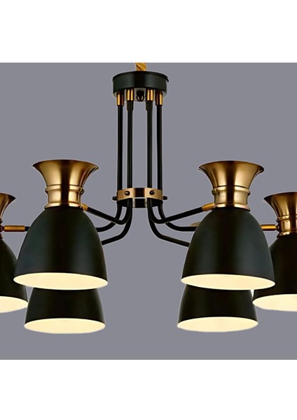 Declan 6 Kollu Siyah Avize fırsatları