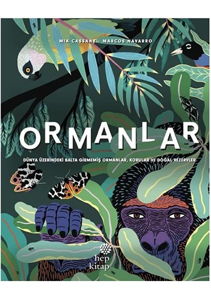 Ormanlar - Dünya Üzerindeki Balta Girmemiş Ormanla