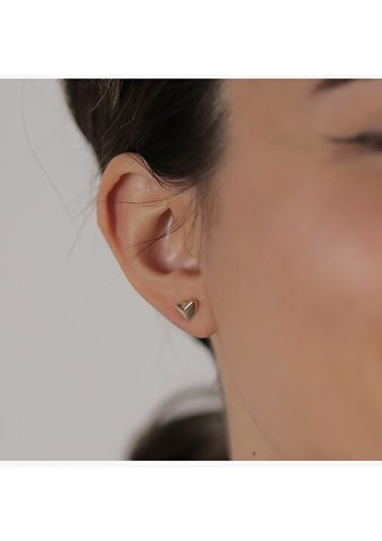 Kalp Küpe fiyatları