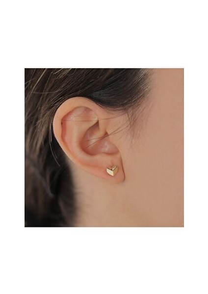 Kalp Küpe modelleri