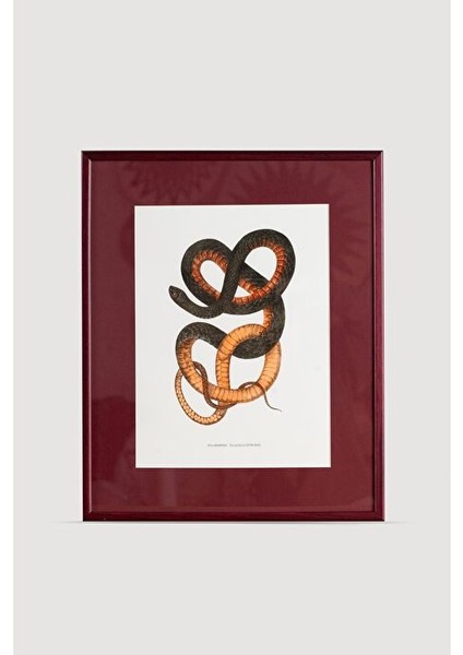 Serpent Serisi Tablo No:4