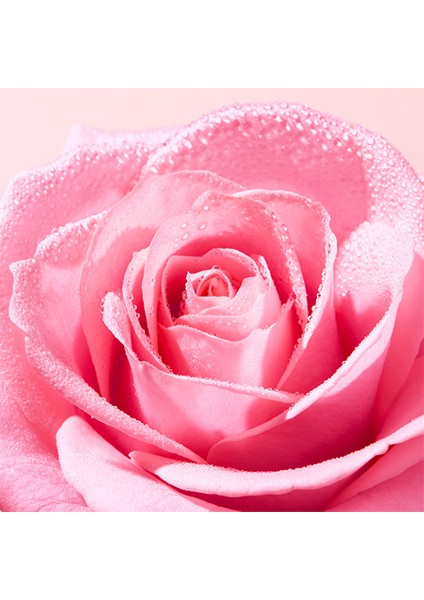 Very Rose Hassas Temizleme Yağı 150 ml fırsatları