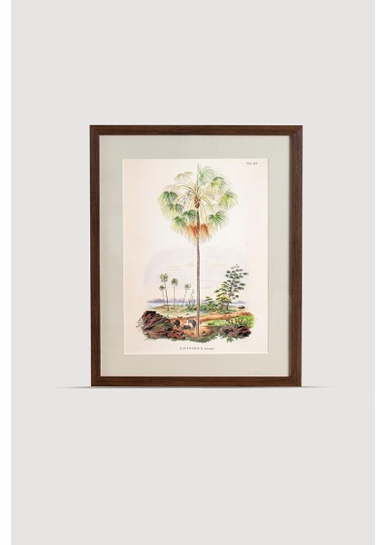 Tropical Serisi Tablo No:2