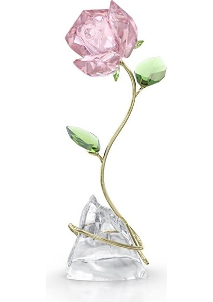 5666973 Swarovski Ev Dekorasyonu Florere:rose
