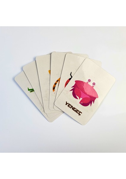 Hayvanları Öğreniyorum Kart Seti + Duygu Tanıma Kartları Avantajlı Seti Toplam 40 Adet Kart fiyatları