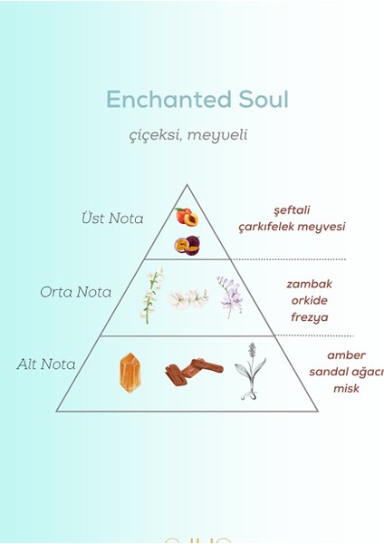 Enchanted Soul Erkek Parfüm Edp 100 ml