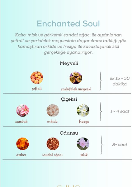 Enchanted Soul Erkek Parfüm Edp 100 ml fiyatları