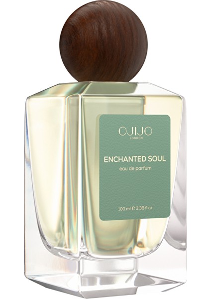 Enchanted Soul Erkek Parfüm Edp 100 ml fırsatları