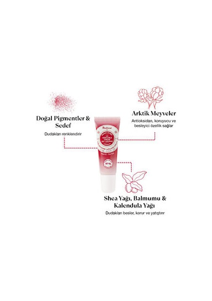 Nemlendirici & Besleyici Renkli Dudak Balmı fiyatları