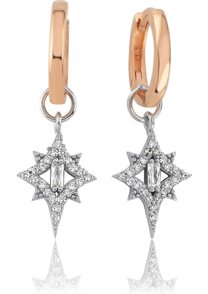 Polaris 14 Ayar Altın Kadın Küpe