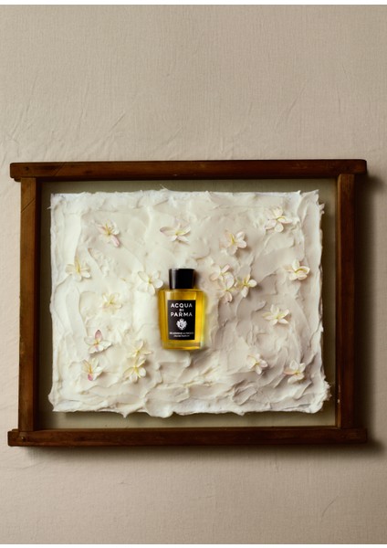 Gelsomino A Freddo Edp 100 ml modelleri