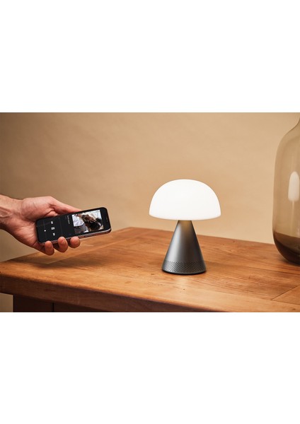 Mina Gri Büyük Boy LED Lamba ve Bluetooth Hoparlör modelleri