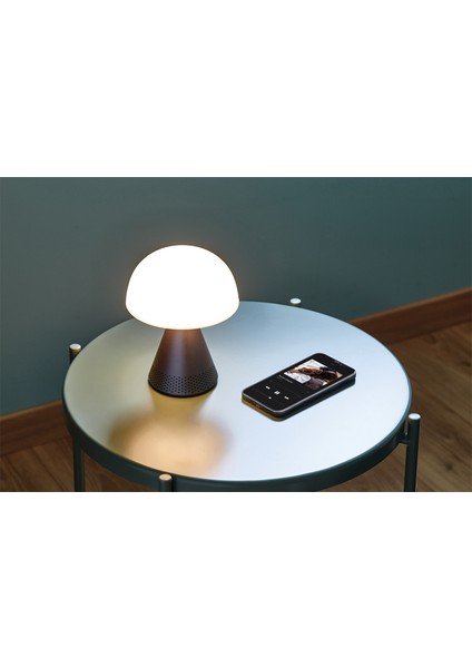 Mina Gri Büyük Boy LED Lamba ve Bluetooth Hoparlör fırsatları