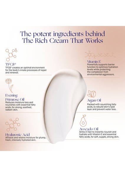 The Rich Cream 100ML