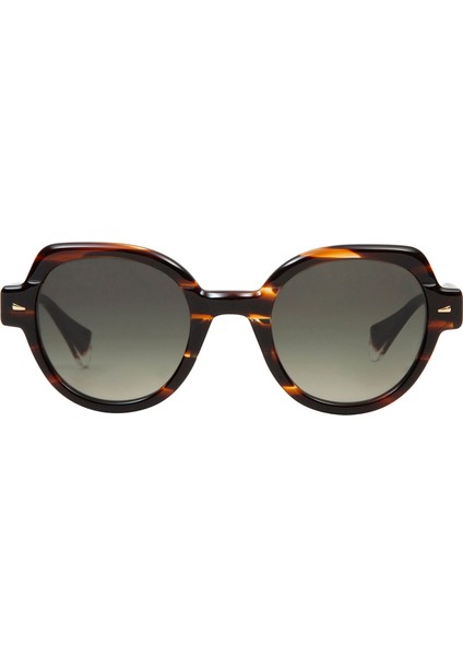 Vanguard Magguie 6632 2 Havana Asetat Kadın Güneş Gözlüğü