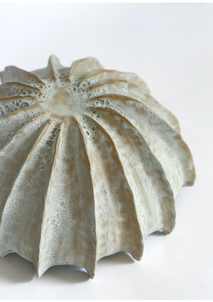 Coral No:8 Mavi Beyaz Seramik Dekoratif Kase 26 cm modelleri